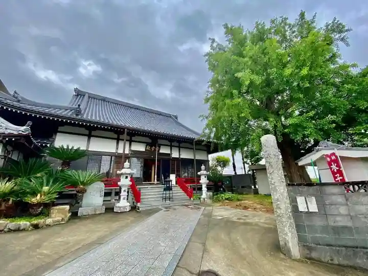 法話と天井絵の寺 観音寺の本殿・本堂