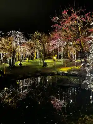 北野天満宮の{uncategorized: "未分類", other: "その他", undefined: "問題あり", building: "その他建物", grave: "お墓", sacred_gate: "鳥居", guardian: "狛犬", statue: "像", buddha: "仏像", history: "歴史", nature: "自然", garden: "庭園", animal: "動物", pagoda: "塔", temizu: "手水舎", mountain_gate: "山門・神門", sanctuary: "本殿・本堂", subordinate: "末社・摂社", art: "芸術", scenery: "景色", jizo: "地蔵", ema: "絵馬", goshuin: "御朱印", omikuji: "おみくじ", items: "授与品その他", amulet: "お守り", goshuincho: "御朱印帳", eats: "食事", festival: "お祭り", votive_dance: "神楽", shichigosan: "七五三参", wedding: "結婚式", experience: "体験その他", initially: "初詣", around: "周辺", anti_infection: "感染症対策"}