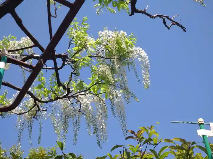 徳王稲荷社・金刀比羅社(愛知県)
