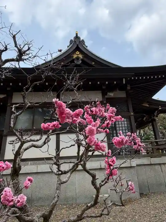 水海道天満宮の{uncategorized: "未分類", other: "その他", undefined: "問題あり", building: "その他建物", grave: "お墓", sacred_gate: "鳥居", guardian: "狛犬", statue: "像", buddha: "仏像", history: "歴史", nature: "自然", garden: "庭園", animal: "動物", pagoda: "塔", temizu: "手水舎", mountain_gate: "山門・神門", sanctuary: "本殿・本堂", subordinate: "末社・摂社", art: "芸術", scenery: "景色", jizo: "地蔵", ema: "絵馬", goshuin: "御朱印", omikuji: "おみくじ", items: "授与品その他", amulet: "お守り", goshuincho: "御朱印帳", eats: "食事", festival: "お祭り", votive_dance: "神楽", shichigosan: "七五三参", wedding: "結婚式", experience: "体験その他", initially: "初詣", around: "周辺", anti_infection: "感染症対策"}