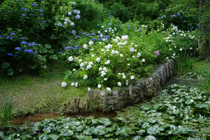 救馬溪観音の自然