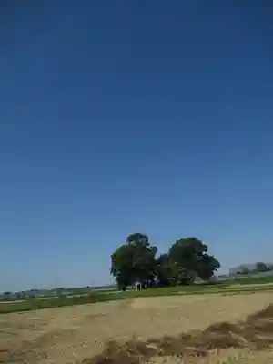 神明神社(千葉県)