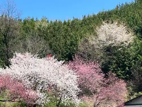 国宝 大法寺(長野県)