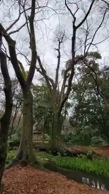賀茂御祖神社（下鴨神社）(京都府)