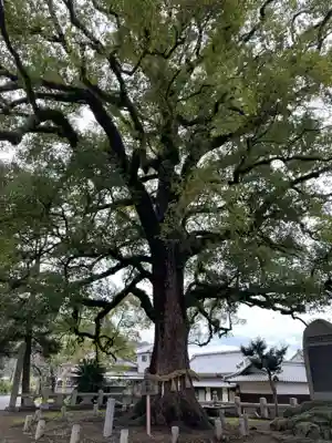 白峰宮(香川県)