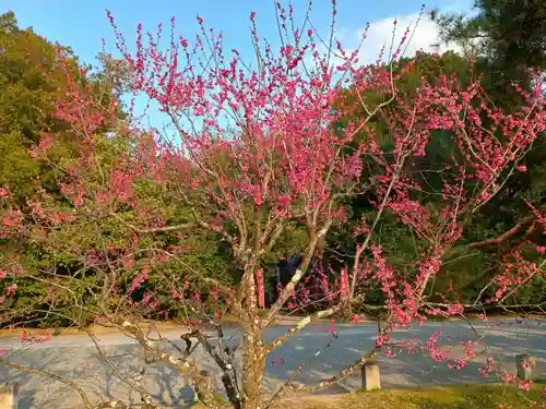 白雲神社(京都府)