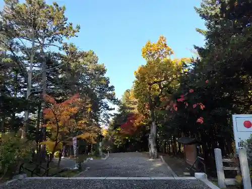 上川神社の庭園