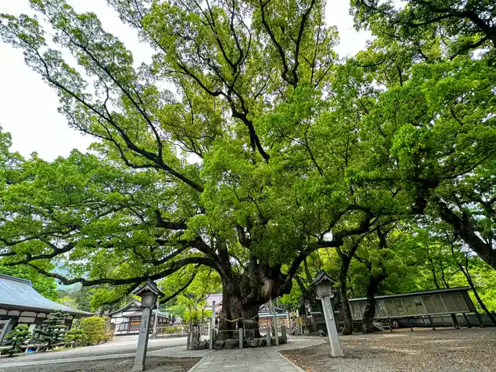 大麻比古神社(徳島県)