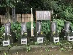 東善寺のお墓