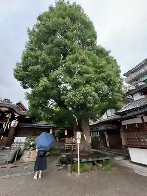 晴明神社(京都府)