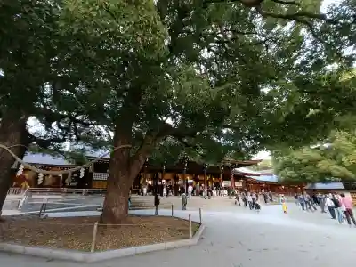 明治神宮の{uncategorized: "未分類", other: "その他", undefined: "問題あり", building: "その他建物", grave: "お墓", sacred_gate: "鳥居", guardian: "狛犬", statue: "像", buddha: "仏像", history: "歴史", nature: "自然", garden: "庭園", animal: "動物", pagoda: "塔", temizu: "手水舎", mountain_gate: "山門・神門", sanctuary: "本殿・本堂", subordinate: "末社・摂社", art: "芸術", scenery: "景色", jizo: "地蔵", ema: "絵馬", goshuin: "御朱印", omikuji: "おみくじ", items: "授与品その他", amulet: "お守り", goshuincho: "御朱印帳", eats: "食事", festival: "お祭り", votive_dance: "神楽", shichigosan: "七五三参", wedding: "結婚式", experience: "体験その他", initially: "初詣", around: "周辺", anti_infection: "感染症対策"}