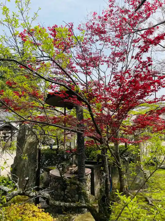 功山寺(山口県)