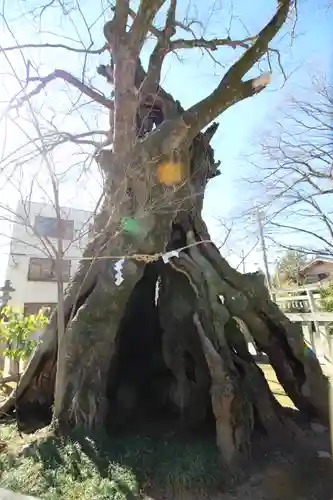 高城神社(埼玉県)