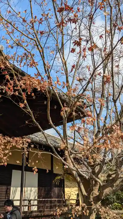 勝林寺(京都府)