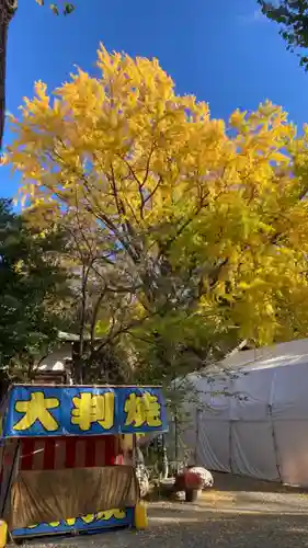 田無神社(東京都)