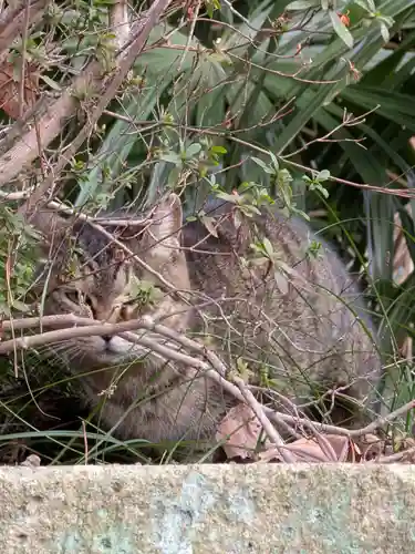 西照寺(東京都)
