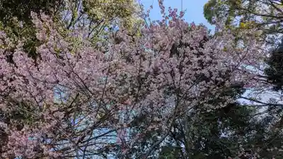 伊佐爾波神社の自然