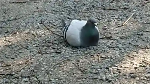 美濃輪稲荷神社(静岡県)