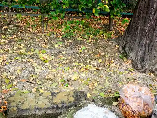 阿邪訶根神社の自然