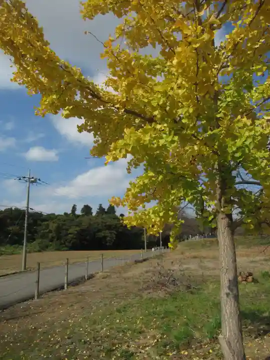八幡神社(茨城県)