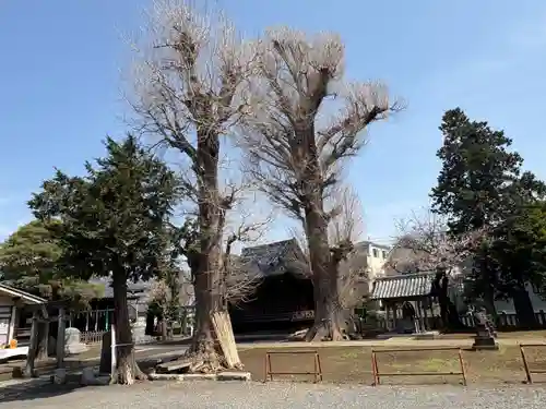 諏訪神社(東京都)