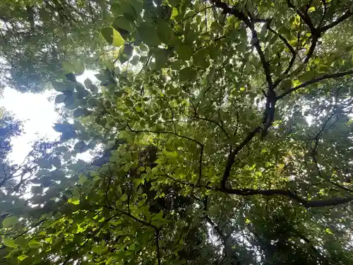 北本氷川神社(埼玉県)