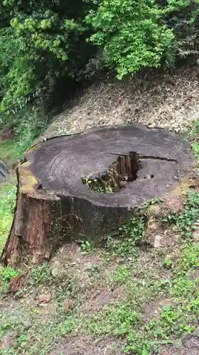 妙義神社の周辺