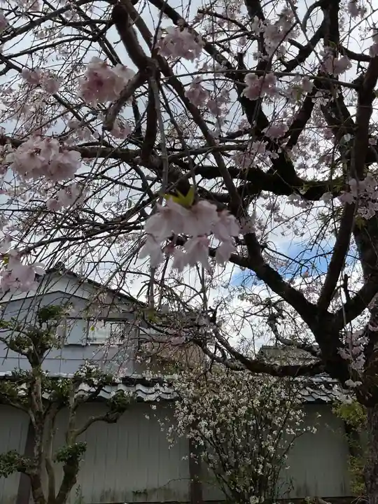 来昌寺(岐阜県)