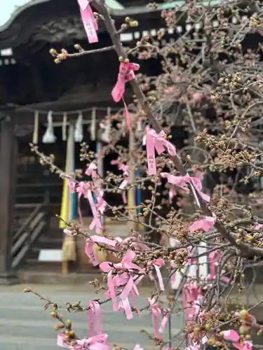 桜神宮(東京都)