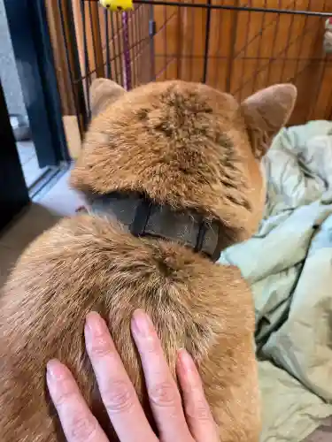 笠䅣稲荷神社(神奈川県)