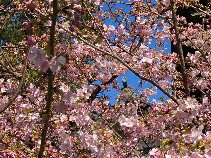 総持寺の{uncategorized: "未分類", other: "その他", undefined: "問題あり", building: "その他建物", grave: "お墓", sacred_gate: "鳥居", guardian: "狛犬", statue: "像", buddha: "仏像", history: "歴史", nature: "自然", garden: "庭園", animal: "動物", pagoda: "塔", temizu: "手水舎", mountain_gate: "山門・神門", sanctuary: "本殿・本堂", subordinate: "末社・摂社", art: "芸術", scenery: "景色", jizo: "地蔵", ema: "絵馬", goshuin: "御朱印", omikuji: "おみくじ", items: "授与品その他", amulet: "お守り", goshuincho: "御朱印帳", eats: "食事", festival: "お祭り", votive_dance: "神楽", shichigosan: "七五三参", wedding: "結婚式", experience: "体験その他", initially: "初詣", around: "周辺", anti_infection: "感染症対策"}