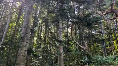 月浦八幡神社の自然