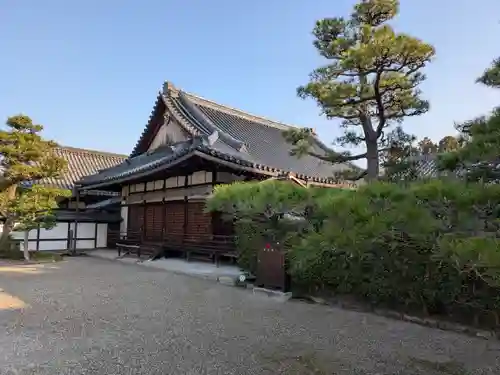 中宮寺(奈良県)