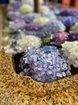 鶴岡八幡宮の手水舎