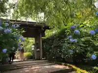 明月院の山門・神門