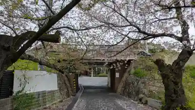 圓藏院(円蔵院)(京都府)