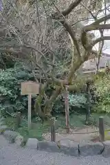 熱田神宮の庭園