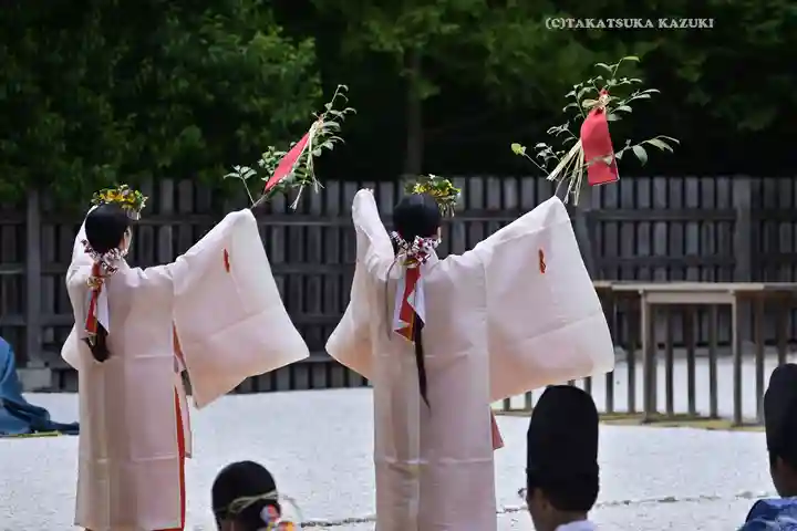 阿佐ヶ谷神明宮(東京都)