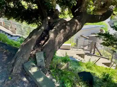 八雲神社（北鎌倉・山ノ内）(神奈川県)