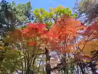 上川神社の自然