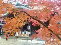 菊田神社の自然