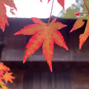 滑川神社 - 仕事と子どもの守り神(福島県)(2025年11月11日(火) 17時55分35秒投稿)