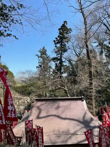 佐助稲荷神社の景色