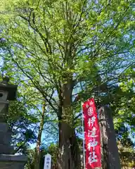 伊達神社の自然