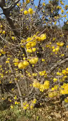 横浜　西方寺(神奈川県)