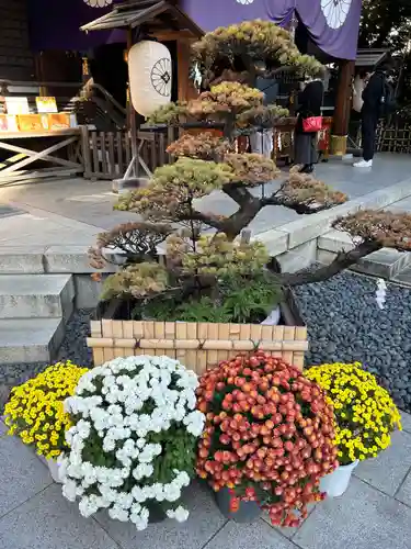 東京大神宮(東京都)