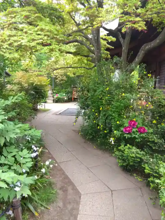 多聞院(埼玉県)