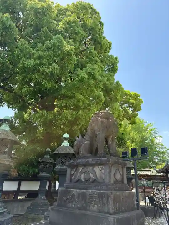 上野東照宮の{uncategorized: "未分類", other: "その他", undefined: "問題あり", building: "その他建物", grave: "お墓", sacred_gate: "鳥居", guardian: "狛犬", statue: "像", buddha: "仏像", history: "歴史", nature: "自然", garden: "庭園", animal: "動物", pagoda: "塔", temizu: "手水舎", mountain_gate: "山門・神門", sanctuary: "本殿・本堂", subordinate: "末社・摂社", art: "芸術", scenery: "景色", jizo: "地蔵", ema: "絵馬", goshuin: "御朱印", omikuji: "おみくじ", items: "授与品その他", amulet: "お守り", goshuincho: "御朱印帳", eats: "食事", festival: "お祭り", votive_dance: "神楽", shichigosan: "七五三参", wedding: "結婚式", experience: "体験その他", initially: "初詣", around: "周辺", anti_infection: "感染症対策"}