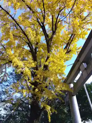 闇之森八幡社(愛知県)