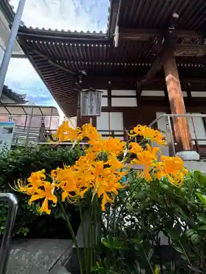 光永寺(長崎県)